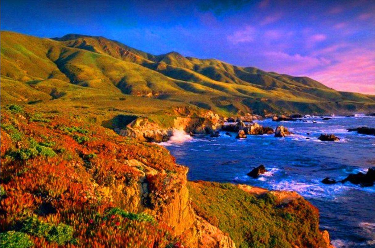 0.11 Acres Land, Little Piece of Paradise 4 Minutes to Beach Cambria, CA