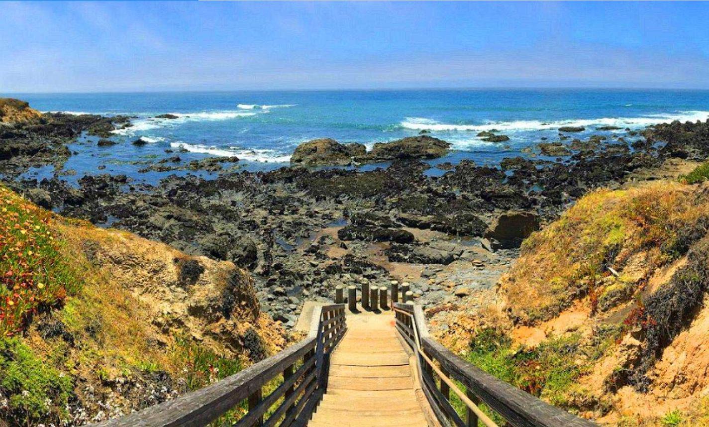 0.11 Acres Land, Little Piece of Paradise 4 Minutes to Beach Cambria, CA