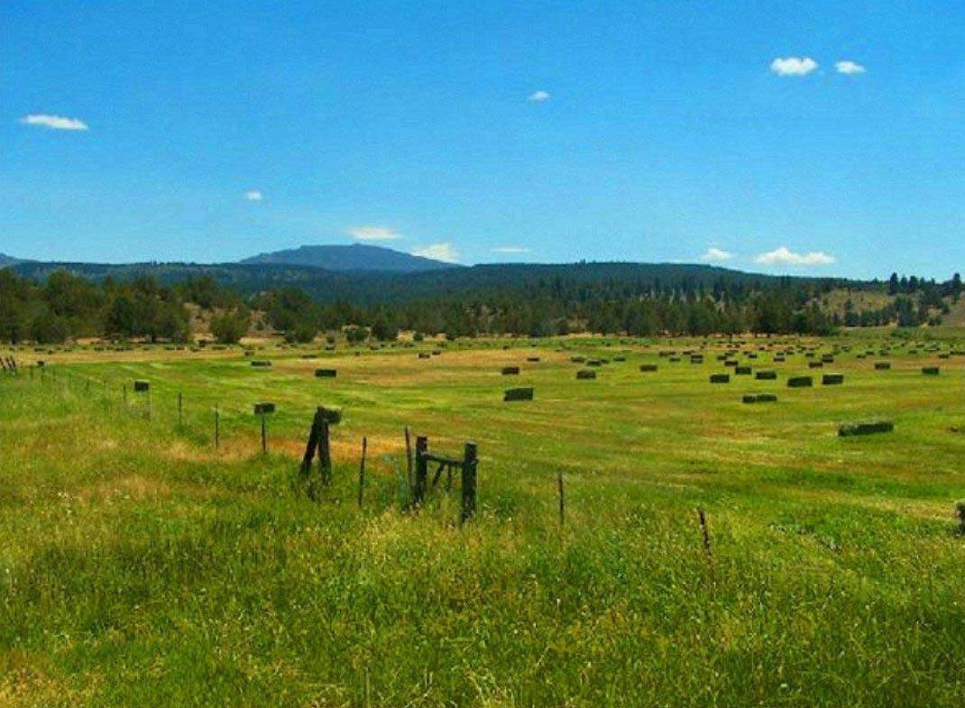 0.6 Acres Land, California Pines Wilderness MODOC County