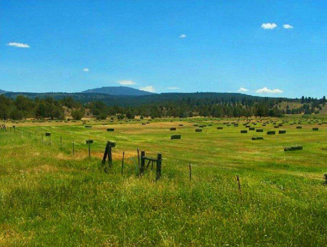 0.6 Acres Land, California Pines Wilderness MODOC County