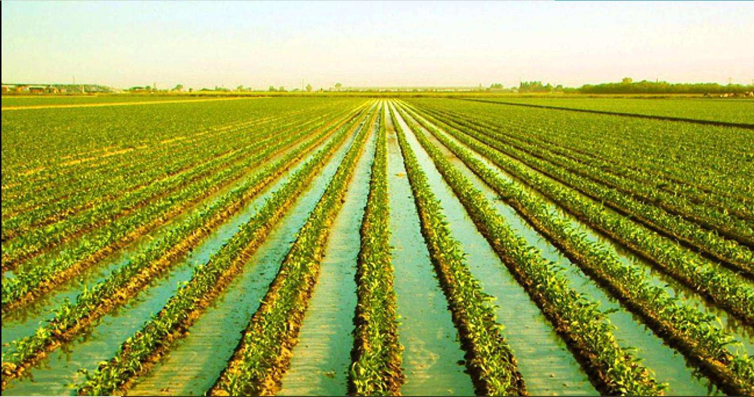 1.25 Acres Agricultural Land, Kettleman City, CA Kings County