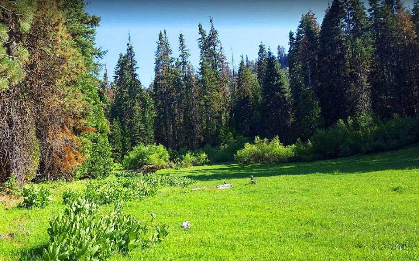 1.4 Acres Ranch-Farm California Hot Springs, CA.