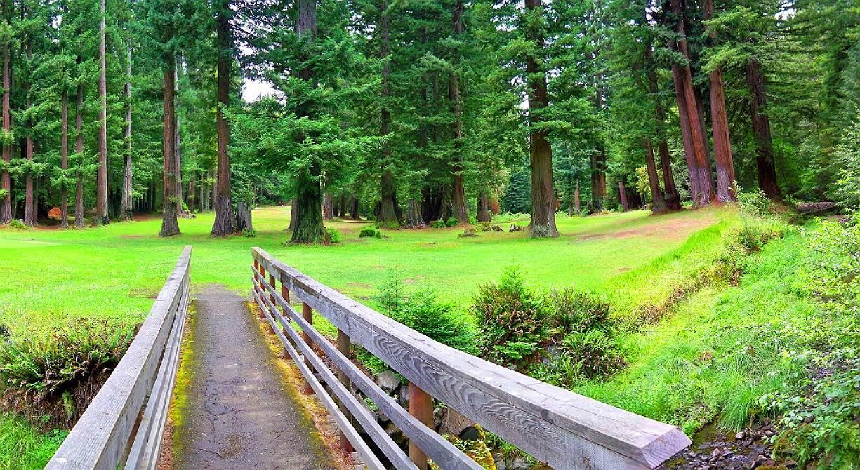 1.67 Acres Land Redwood Forest Northern California! In Willits, Mendocino County, CA