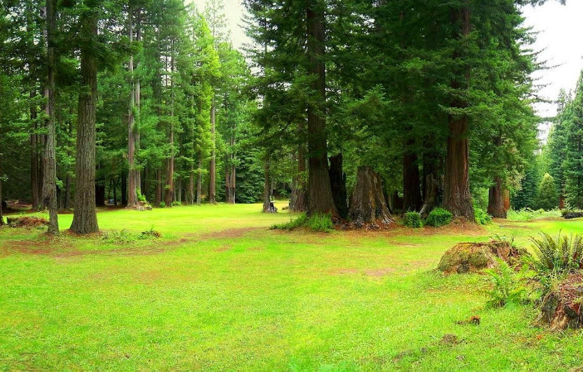 1.67 Acres Land Redwood Forest Northern California! In Willits, Mendocino County, CA