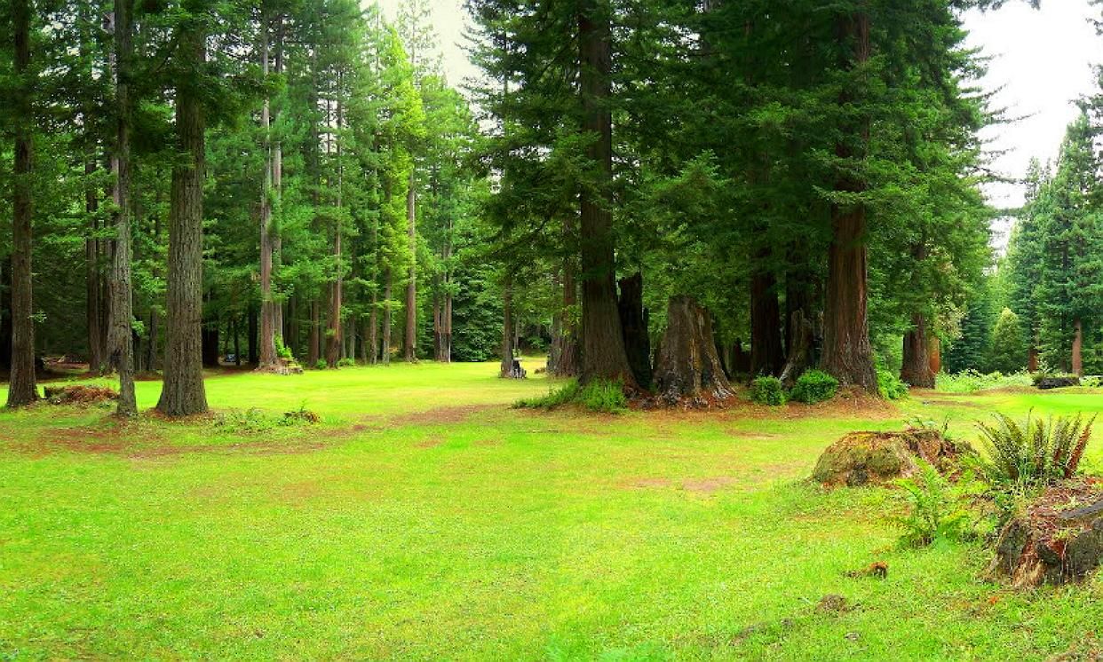 1.67 Acres Land Redwood Forest Northern California! In Willits, Mendocino County, CA