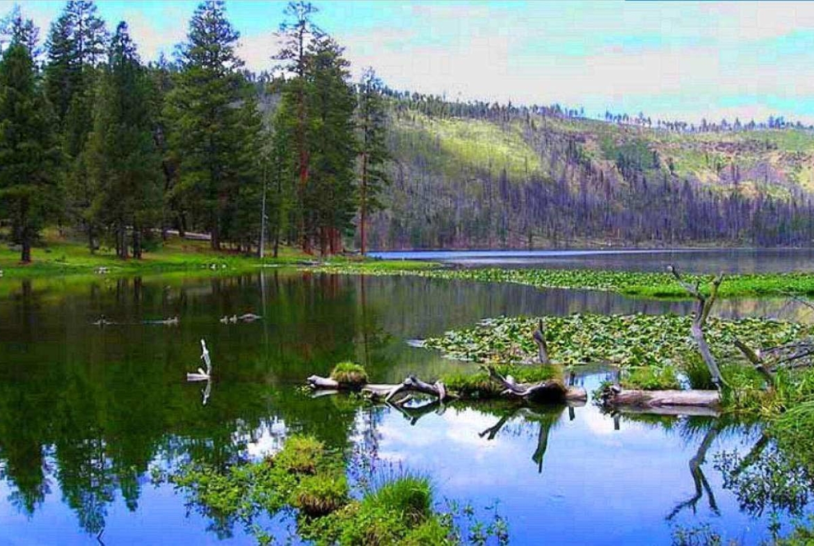 Land in California Pines MODOC County