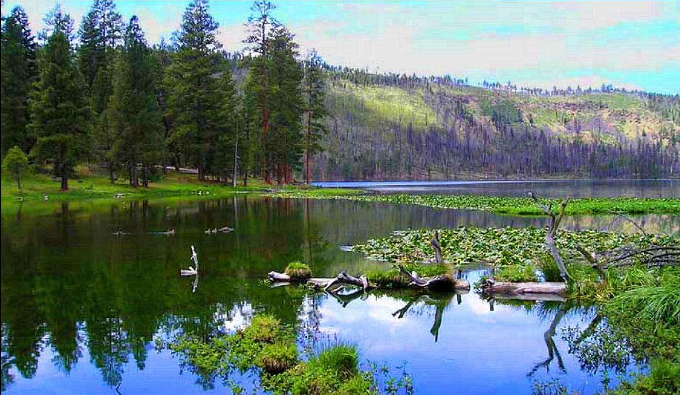 Land in California Pines MODOC County