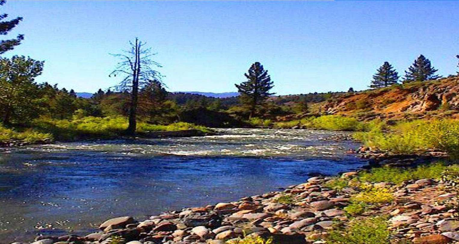 Land in California Pines MODOC County