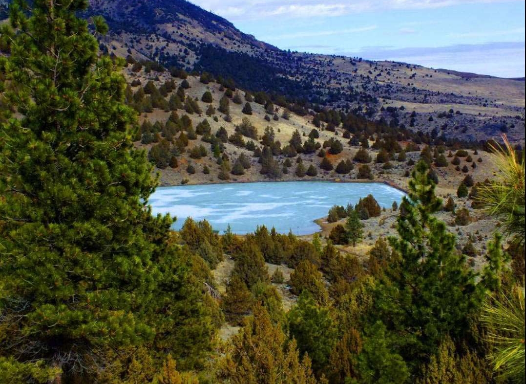 Land in California Pines MODOC County