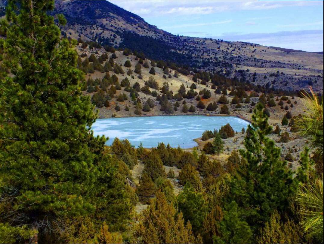 Land in California Pines MODOC County