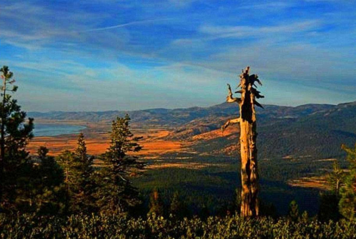 Land in California Pines MODOC County