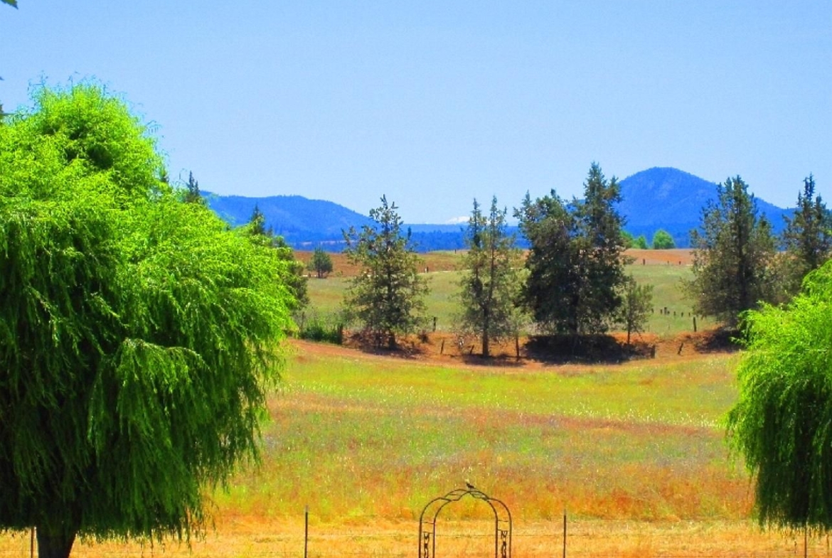 10 Acres HUGE FARM RANCH Ravendale, Lassen County, CA