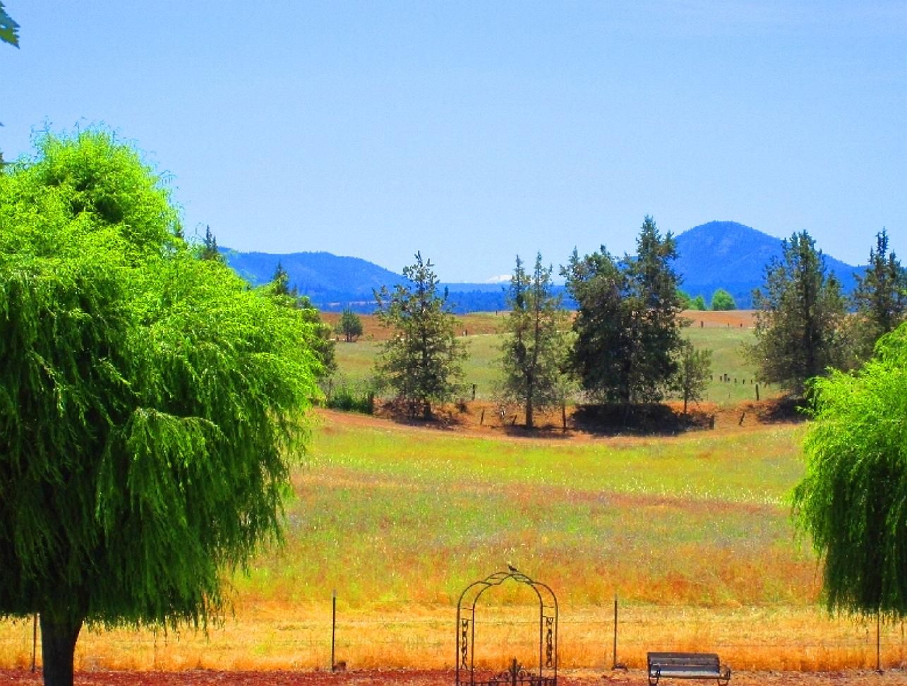 10 Acres HUGE FARM RANCH Ravendale, Lassen County, CA