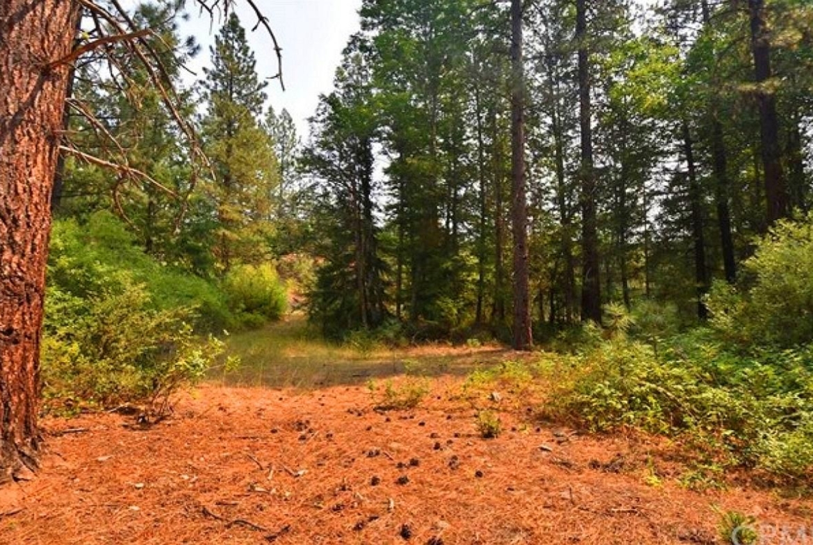 160 Acres Land in Siskiyou County California