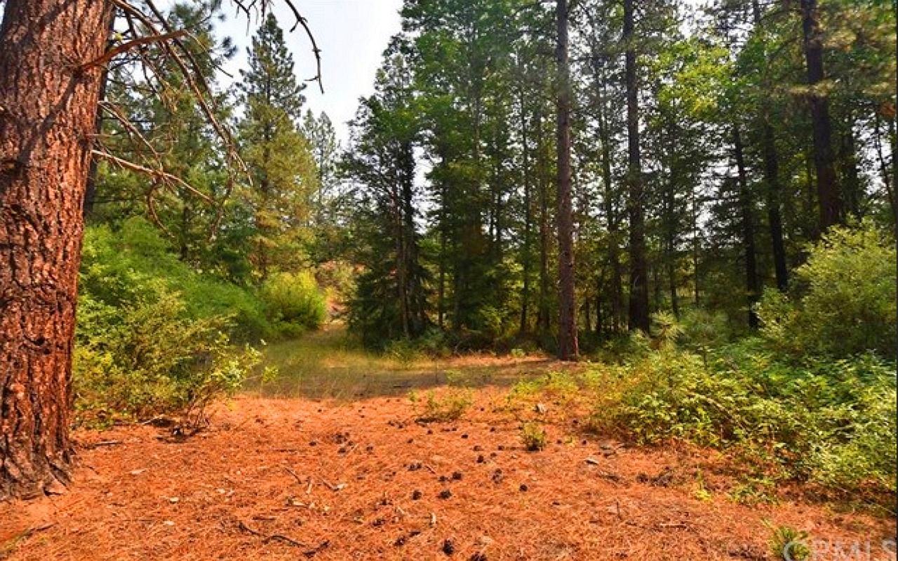 160 Acres Land in Siskiyou County California