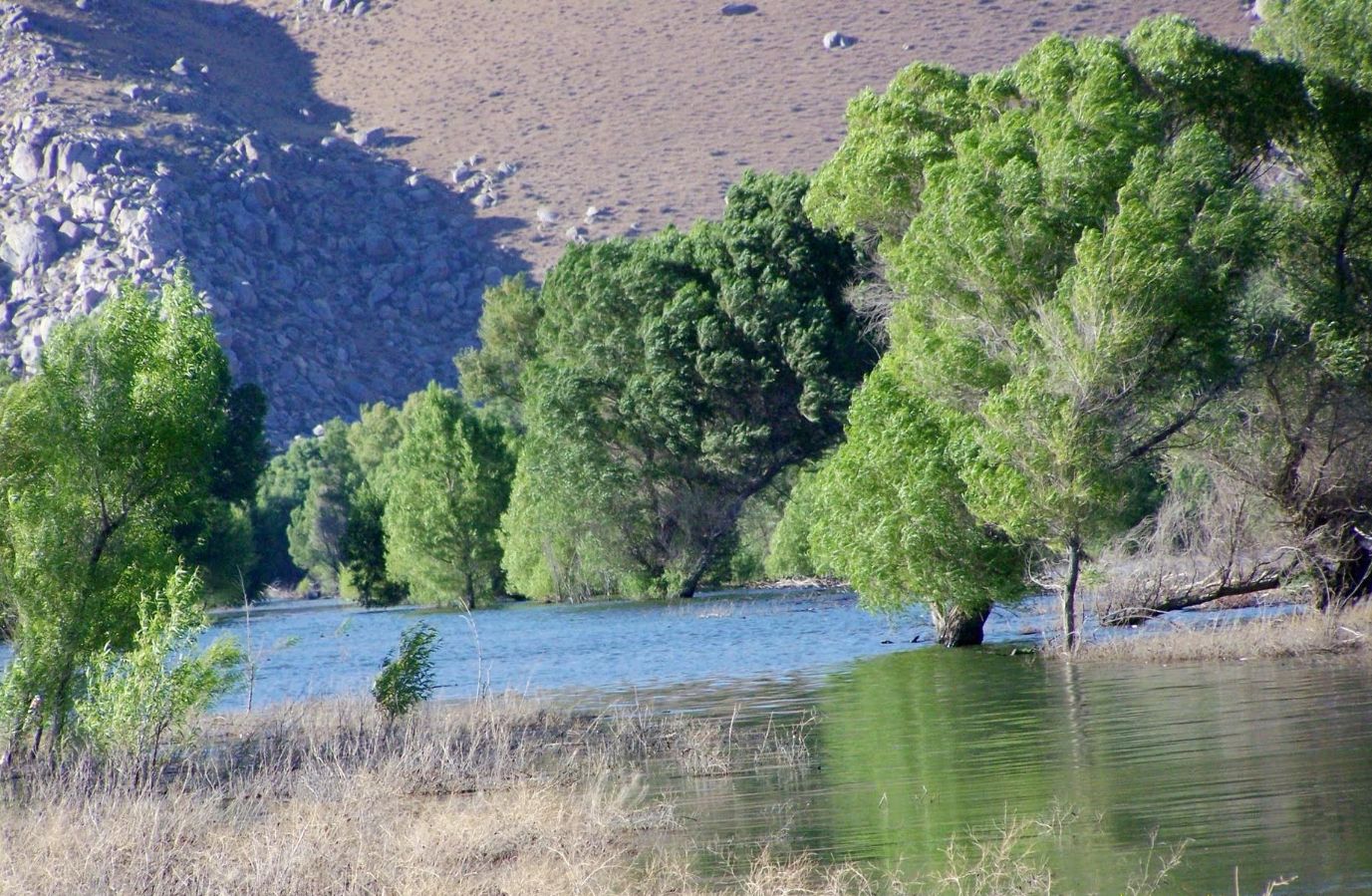 2.5 Acres RANCH-FARM Inyokern, KERN County, CA