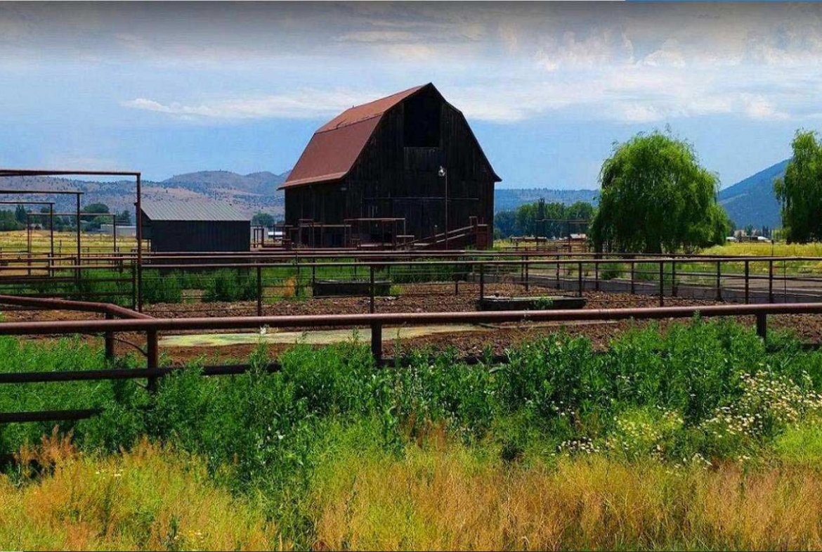 2.8 acres of Nature Wilderness TWO PARCELS Modoc County