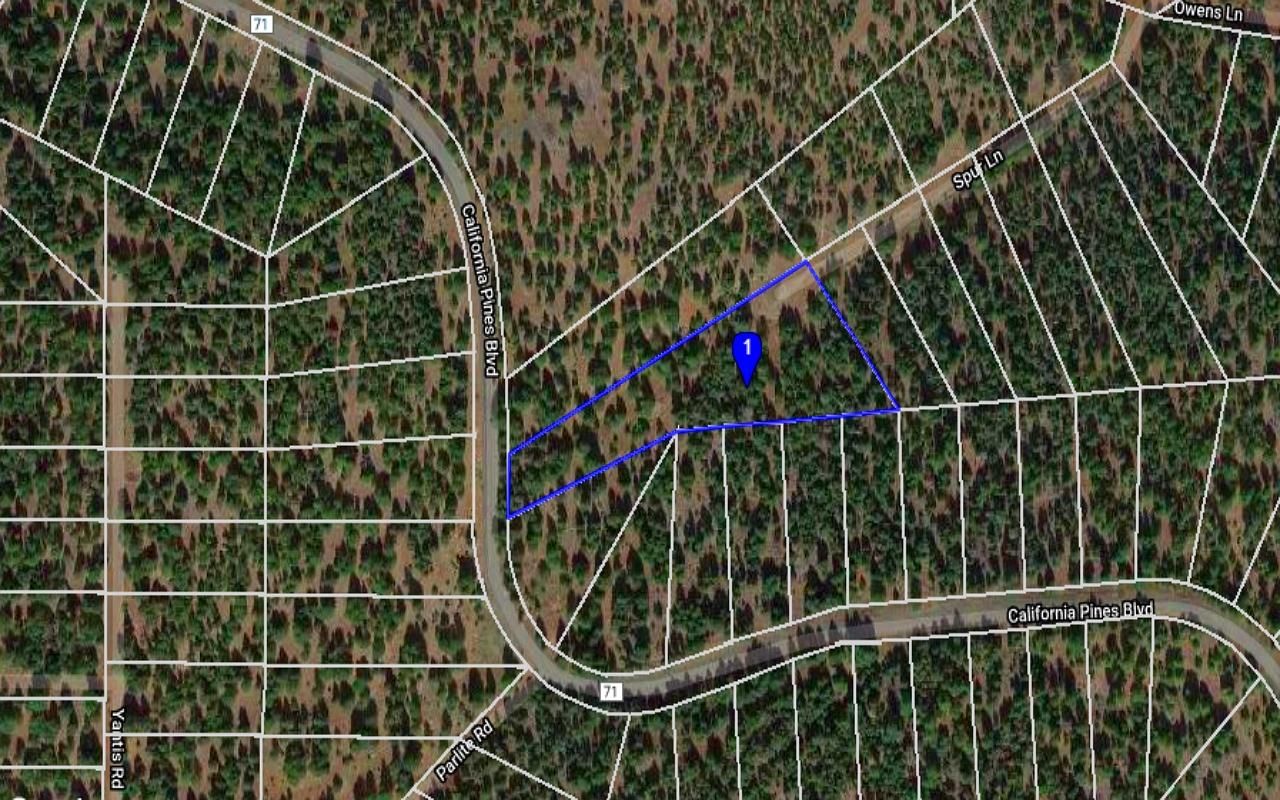 2.9 Acres Land California Pines WILDERNESS, Modoc County, CA