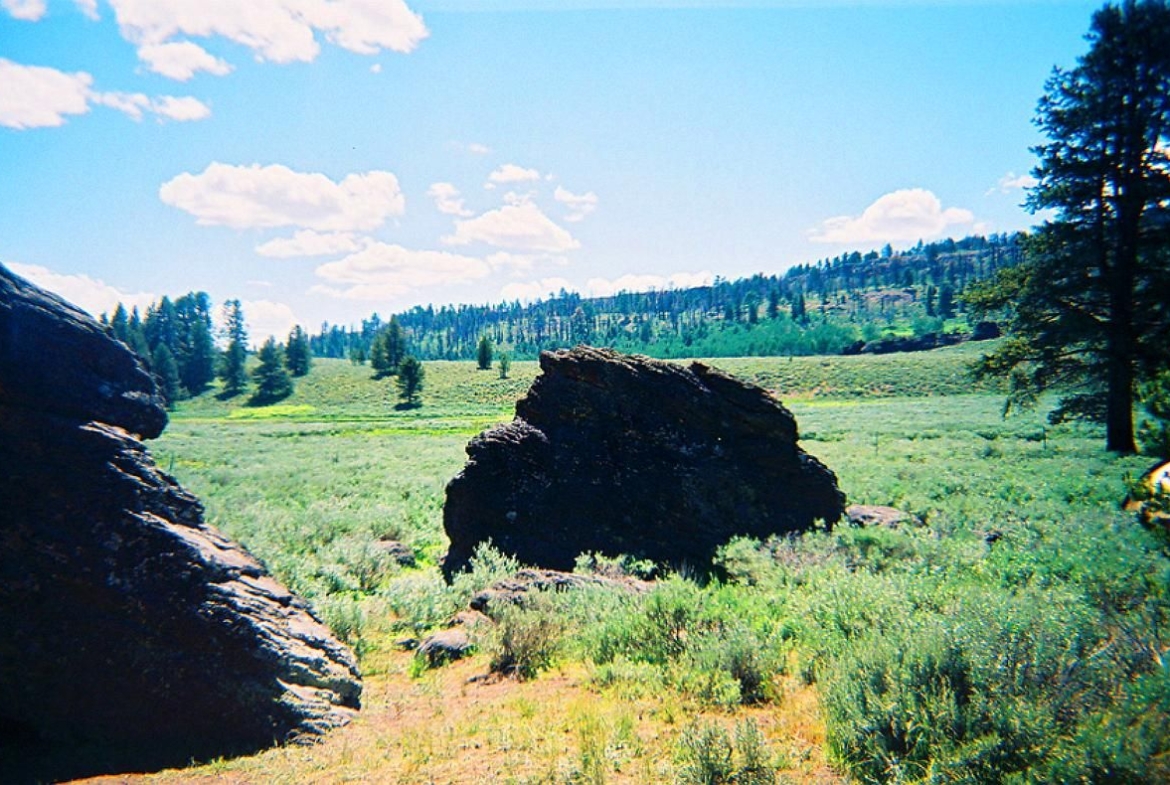 2.9 Acres Land California Pines WILDERNESS, Modoc County, CA