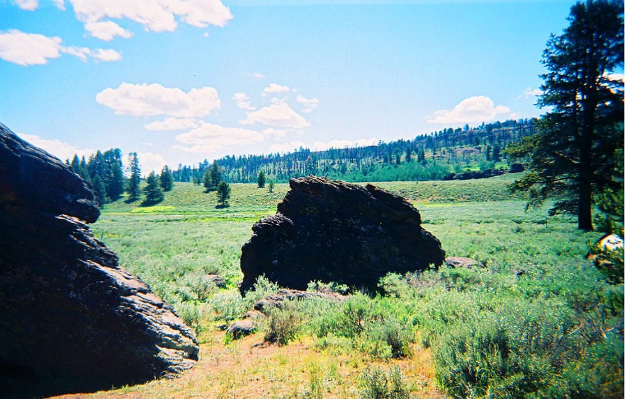 2.9 Acres Land California Pines WILDERNESS, Modoc County, CA