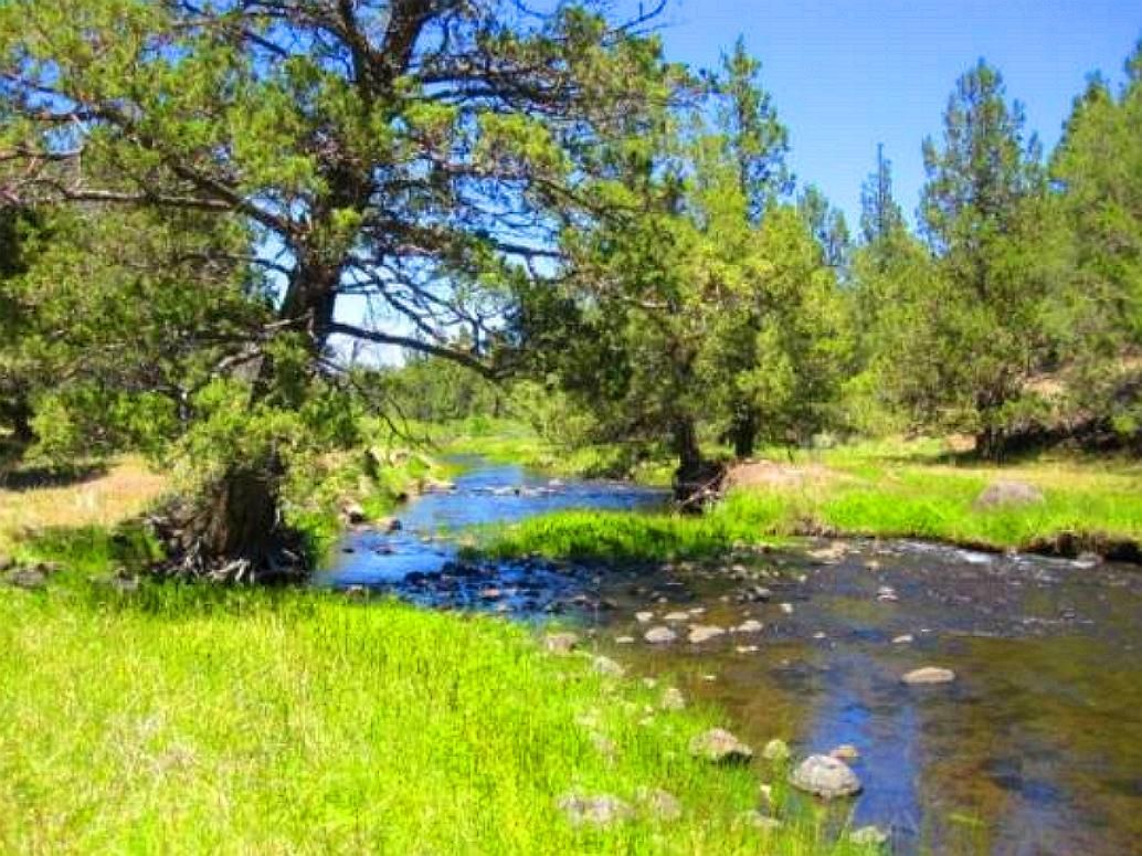 2.9 Acres Land California Pines WILDERNESS, Modoc County, CA