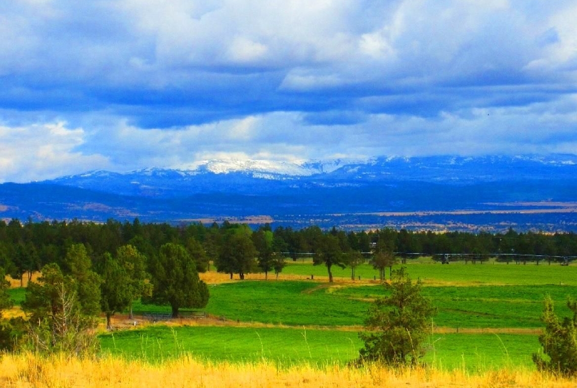 2.9 Acres Land California Pines WILDERNESS, Modoc County, CA