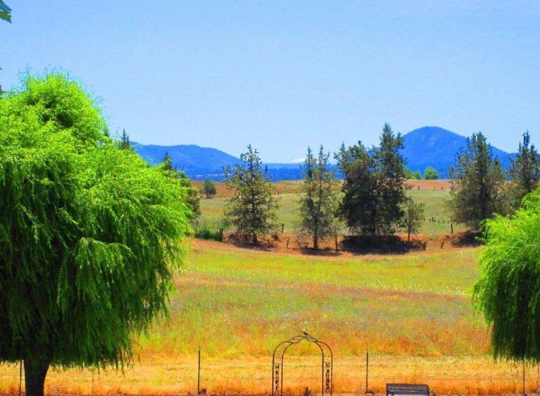 20.2 Acres Huge Farm Ranch in LASSEN County