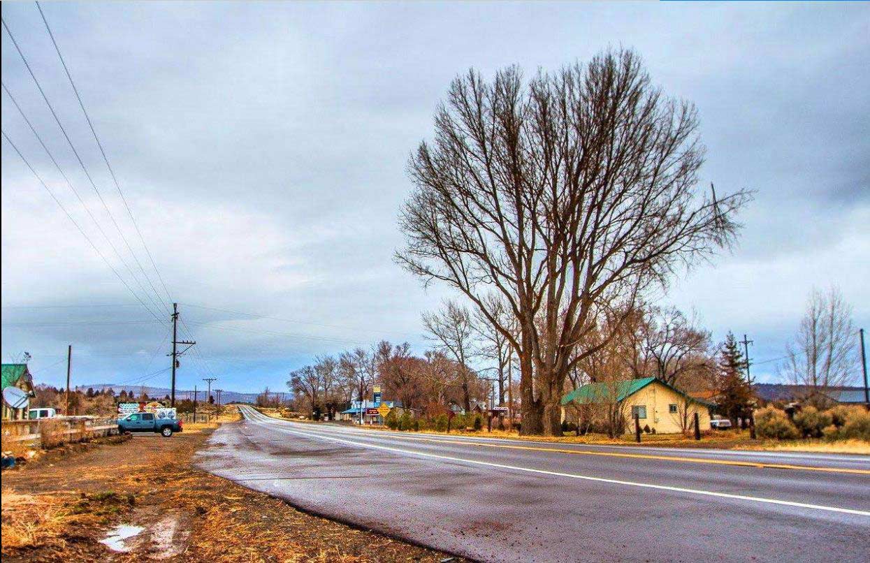 20.2 Acres Huge Farm Ranch in LASSEN County