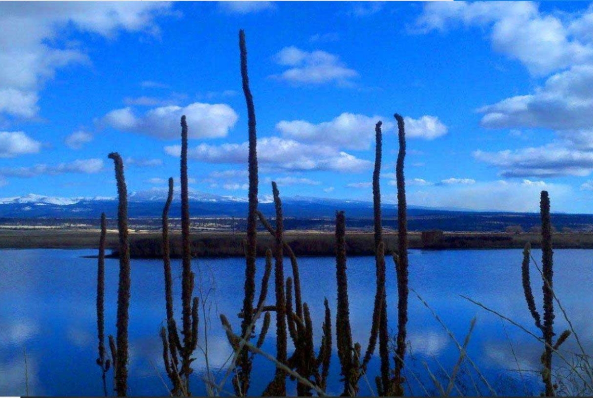 20.2 Acres Huge Farm Ranch in LASSEN County