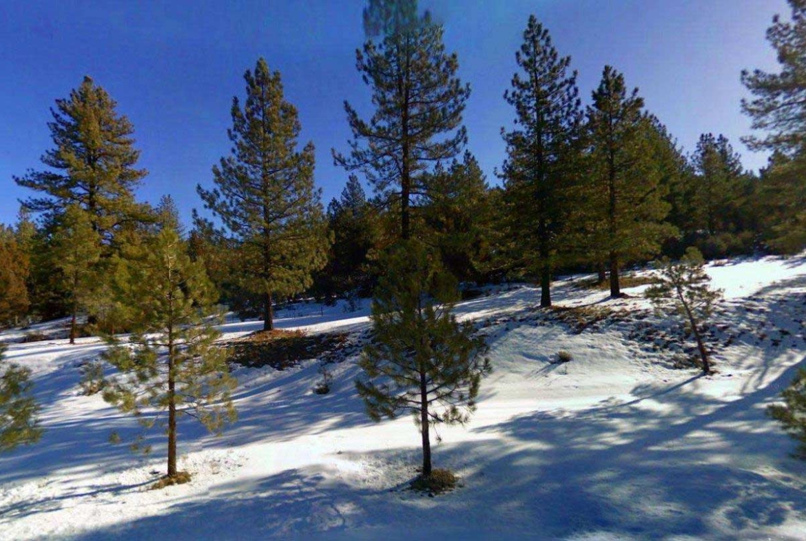 20.2 Acres Huge Farm Ranch in LASSEN County