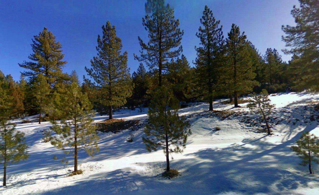 20.2 Acres Huge Farm Ranch in LASSEN County