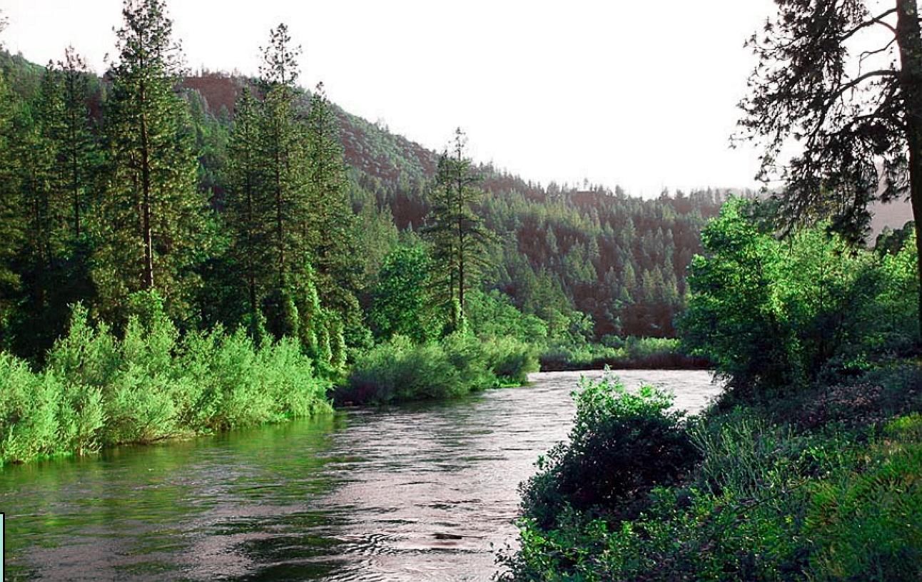 3 Acres Land Klamath River in California