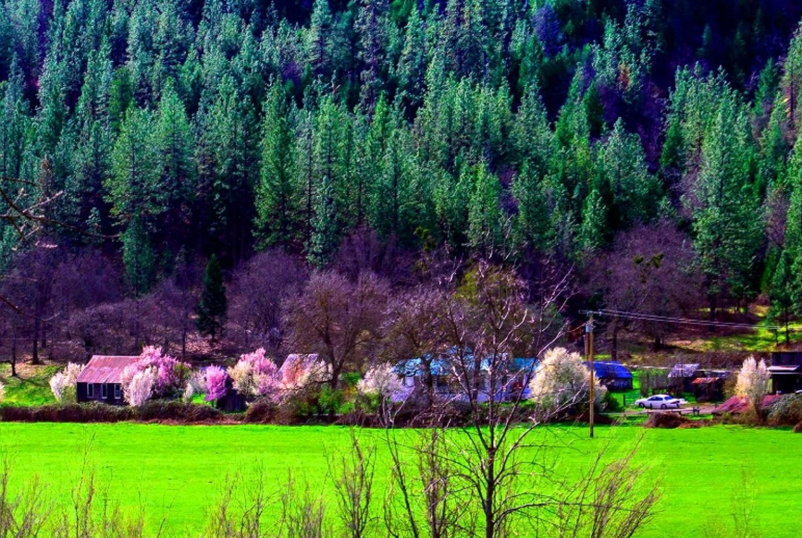 3 Acres Land Klamath River in California