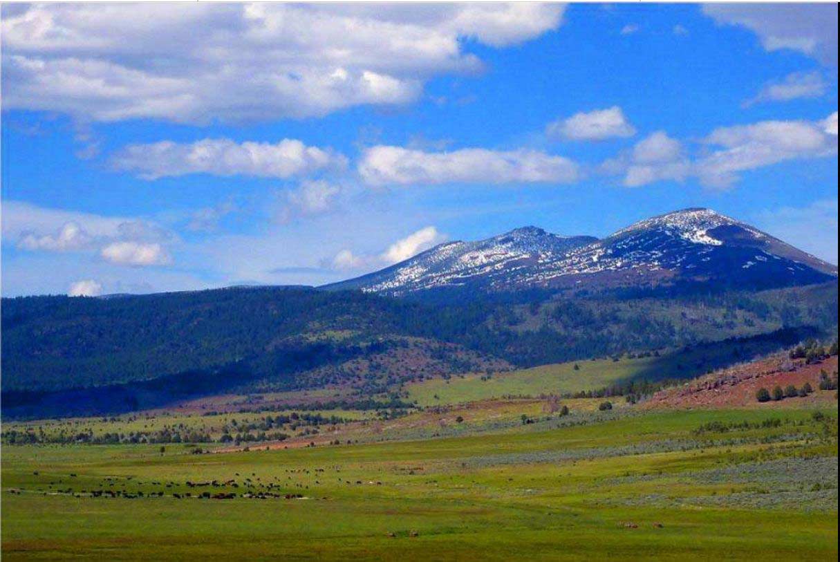 3.6 Acres Ranch Wilderness Quality OF Life MODOC County