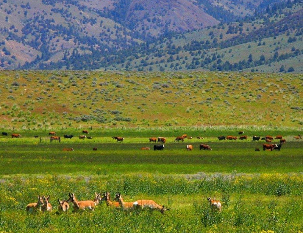 3.6 Acres Ranch Wilderness Quality OF Life MODOC County