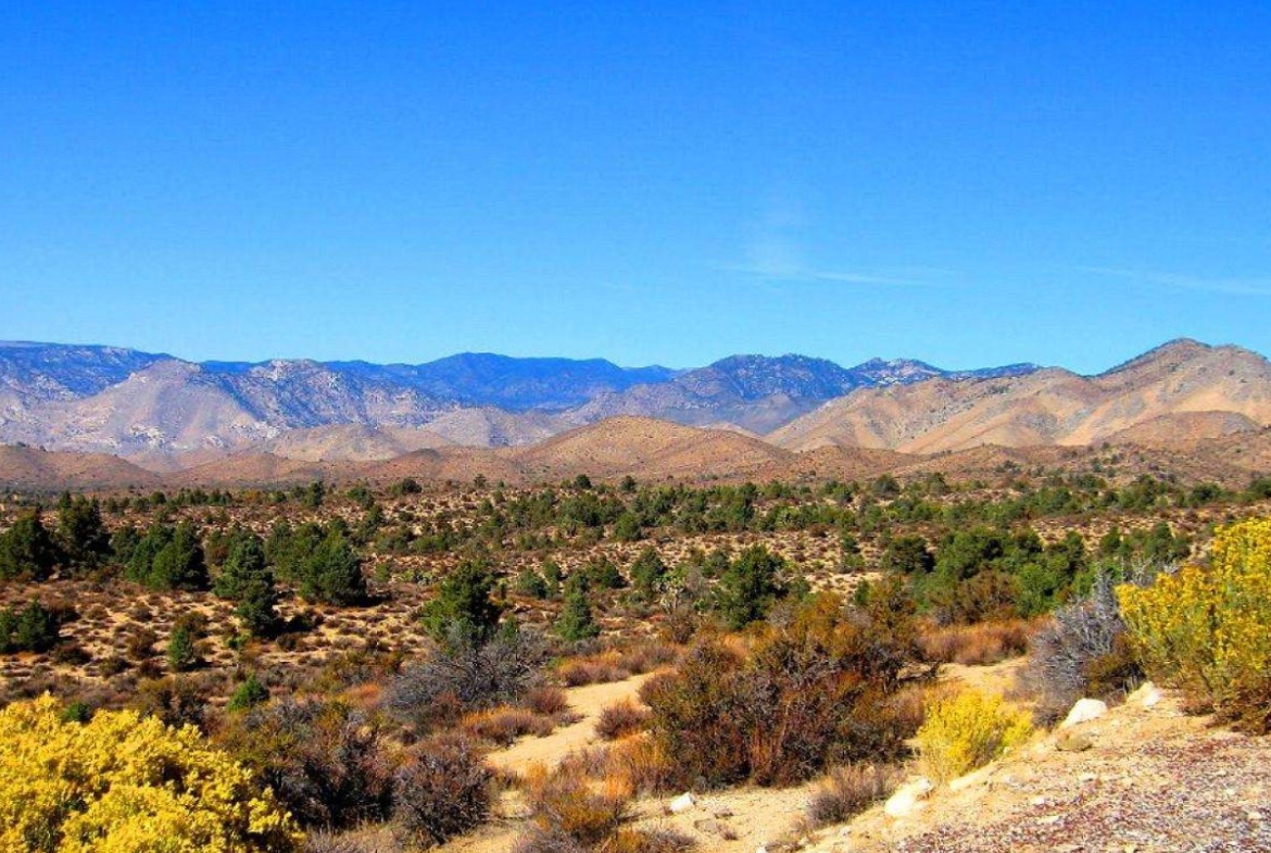 4 Parcels - RANCH-FARM, 20 ACRES AERiAL ACRES, Kern County