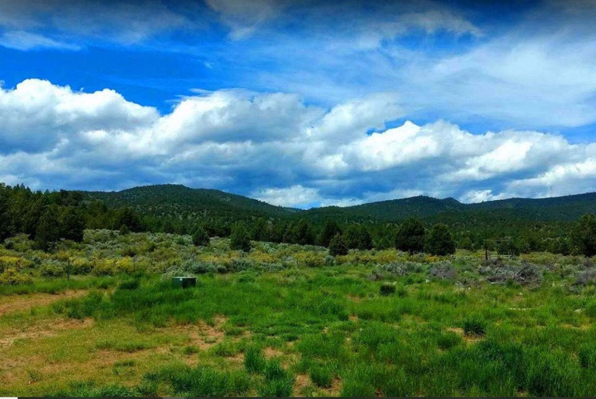 40 ACRES Ranch-Farm Susanville, Ca. LASSEN COUNTY