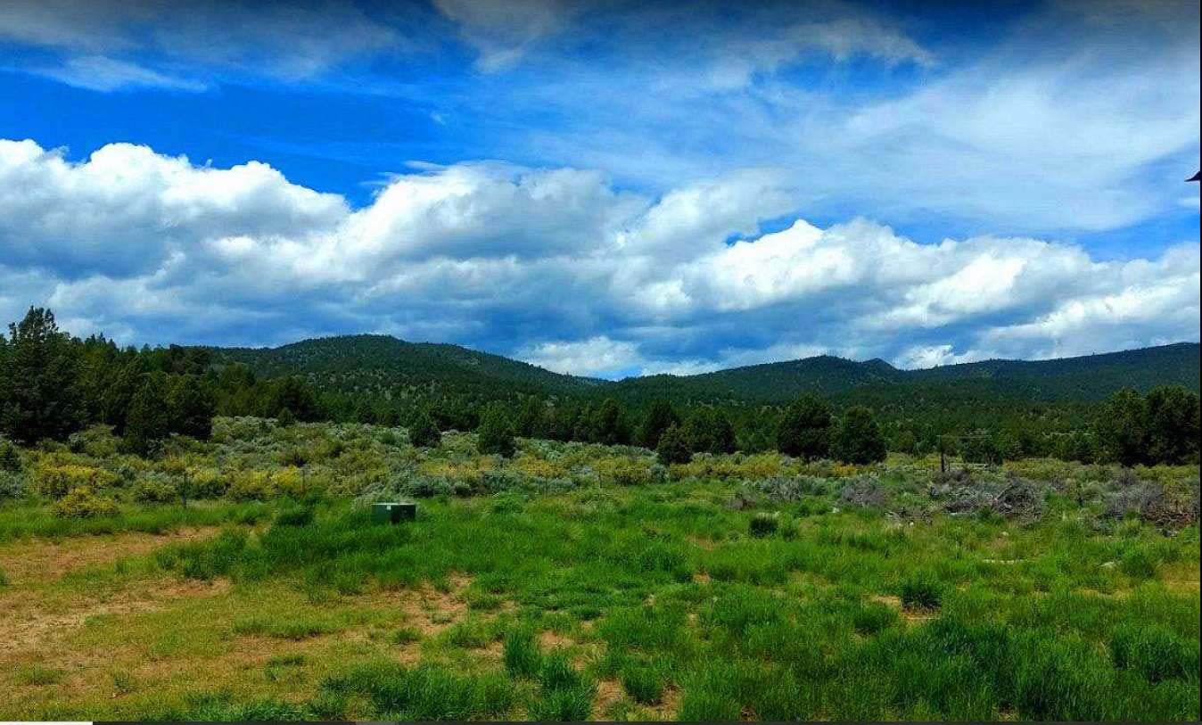 40 ACRES Ranch-Farm Susanville, Ca. LASSEN COUNTY