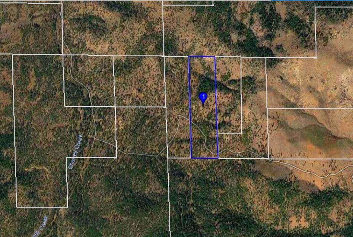 40 ACRES Ranch-Farm Susanville, Ca. LASSEN COUNTY