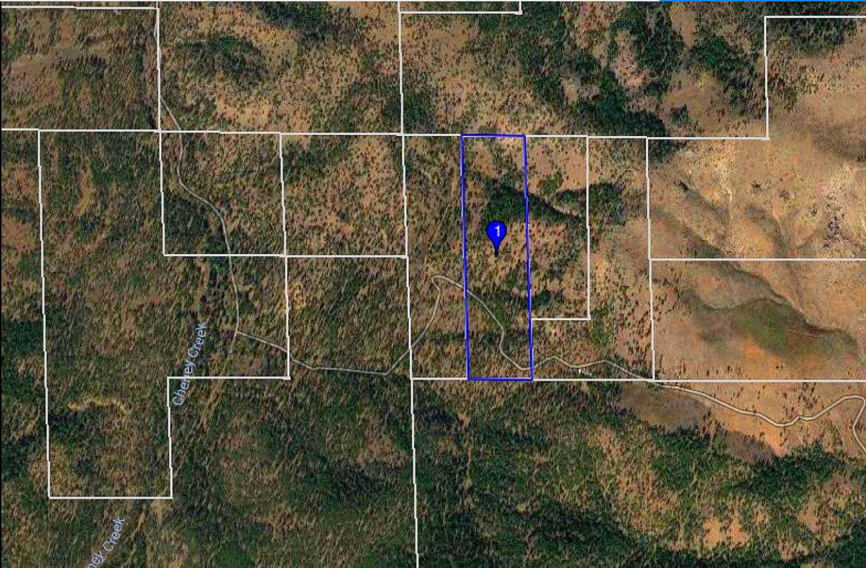 40 ACRES Ranch-Farm Susanville, Ca. LASSEN COUNTY