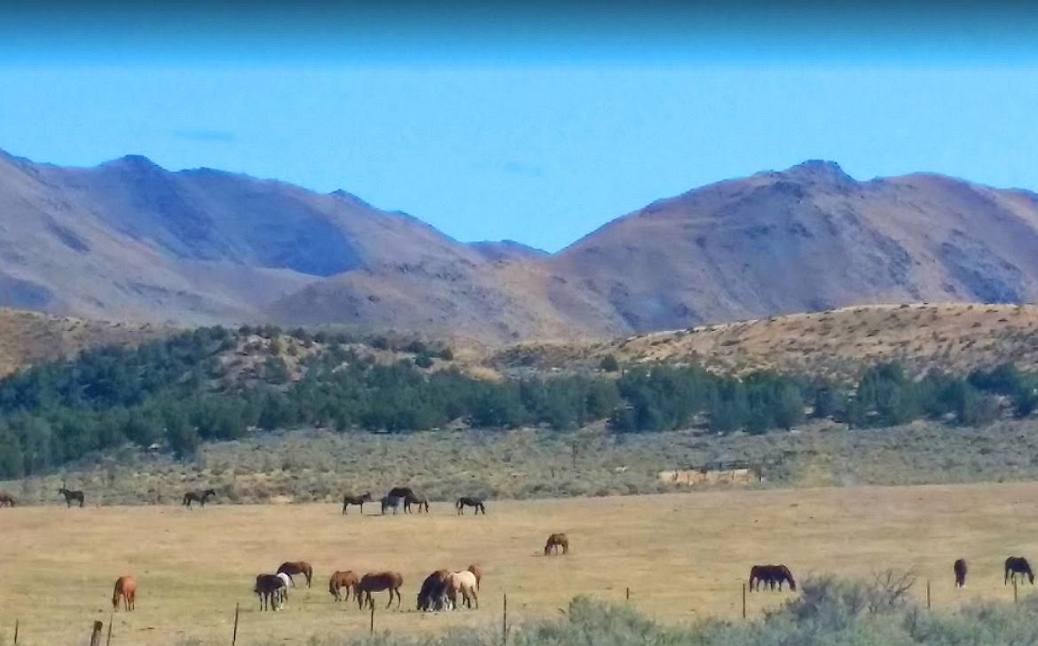 40 Acres Ranch-Farm Doyle, Lassen County, CA