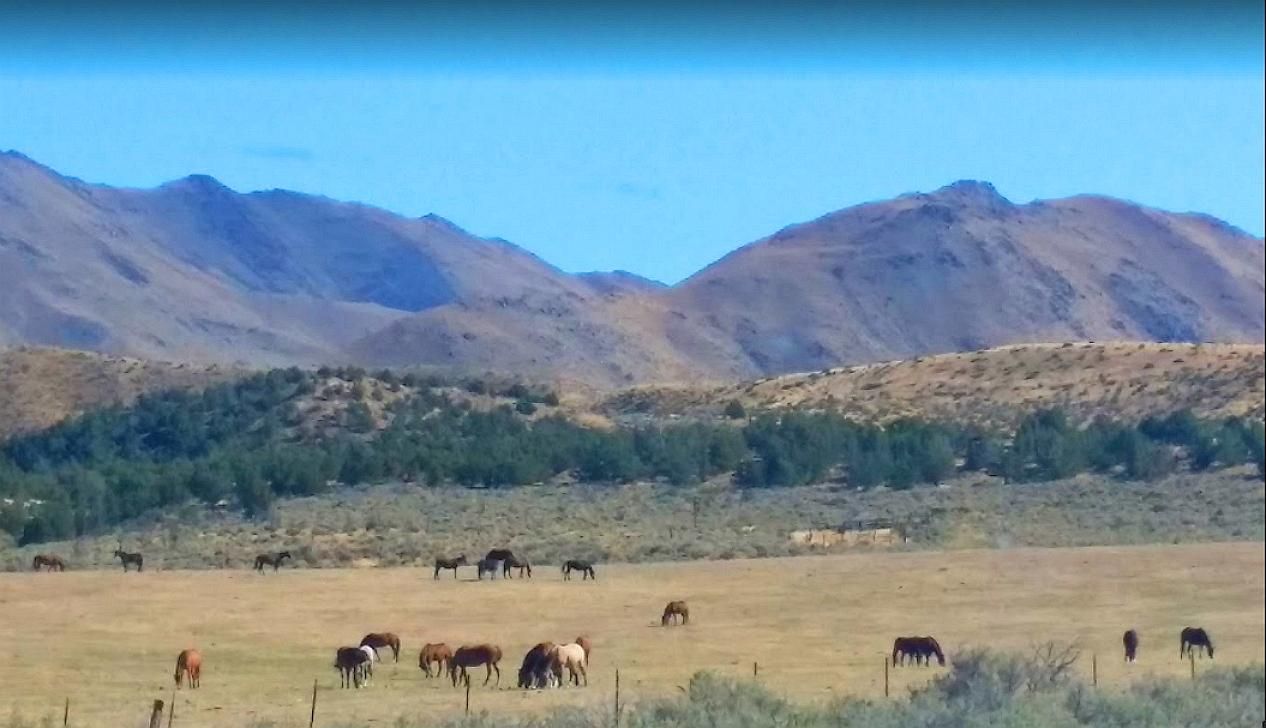 40 Acres Ranch-Farm Doyle, Lassen County, CA