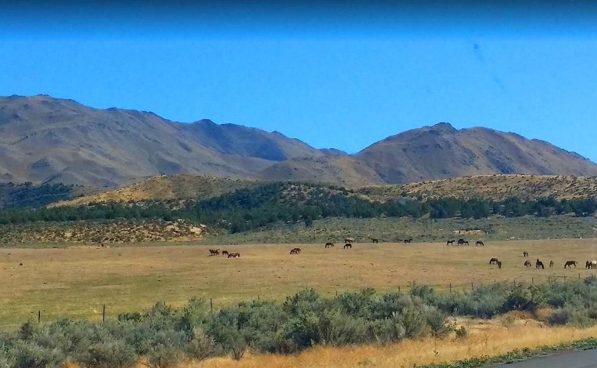 40 Acres Ranch-Farm Doyle, Lassen County, CA