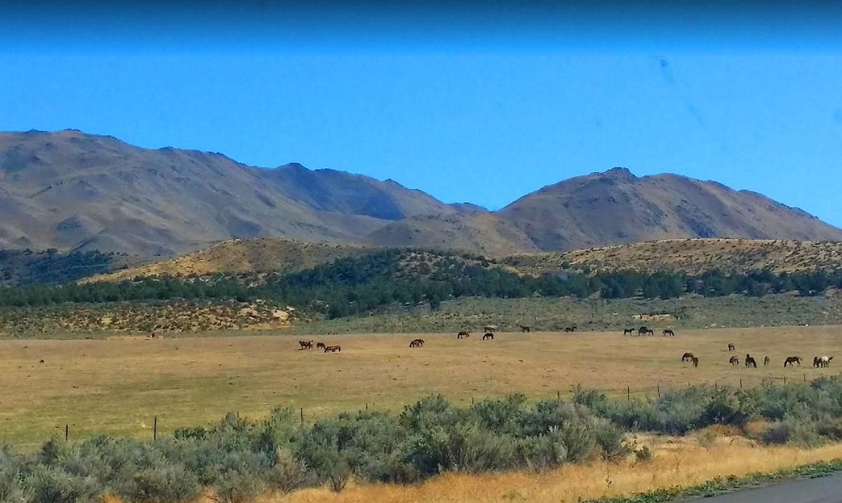 40 Acres Ranch-Farm Doyle, Lassen County, CA