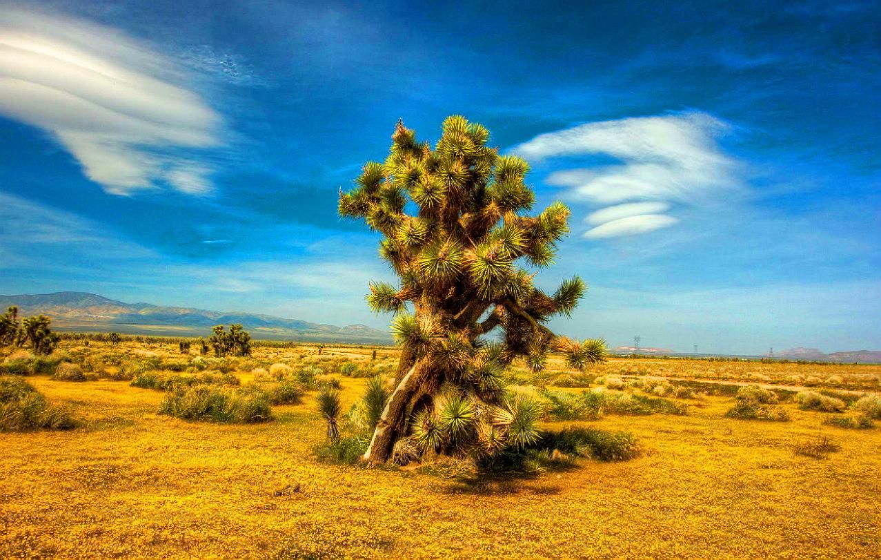 5 Acres Vacant lot - Ranch-Farm in California City, Kern County, CA