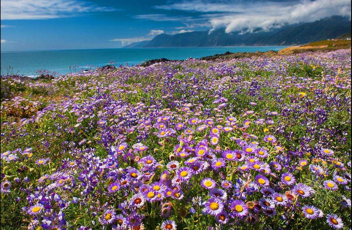 Land in "California Coast" Shelter Cove, Humboldt County, CA