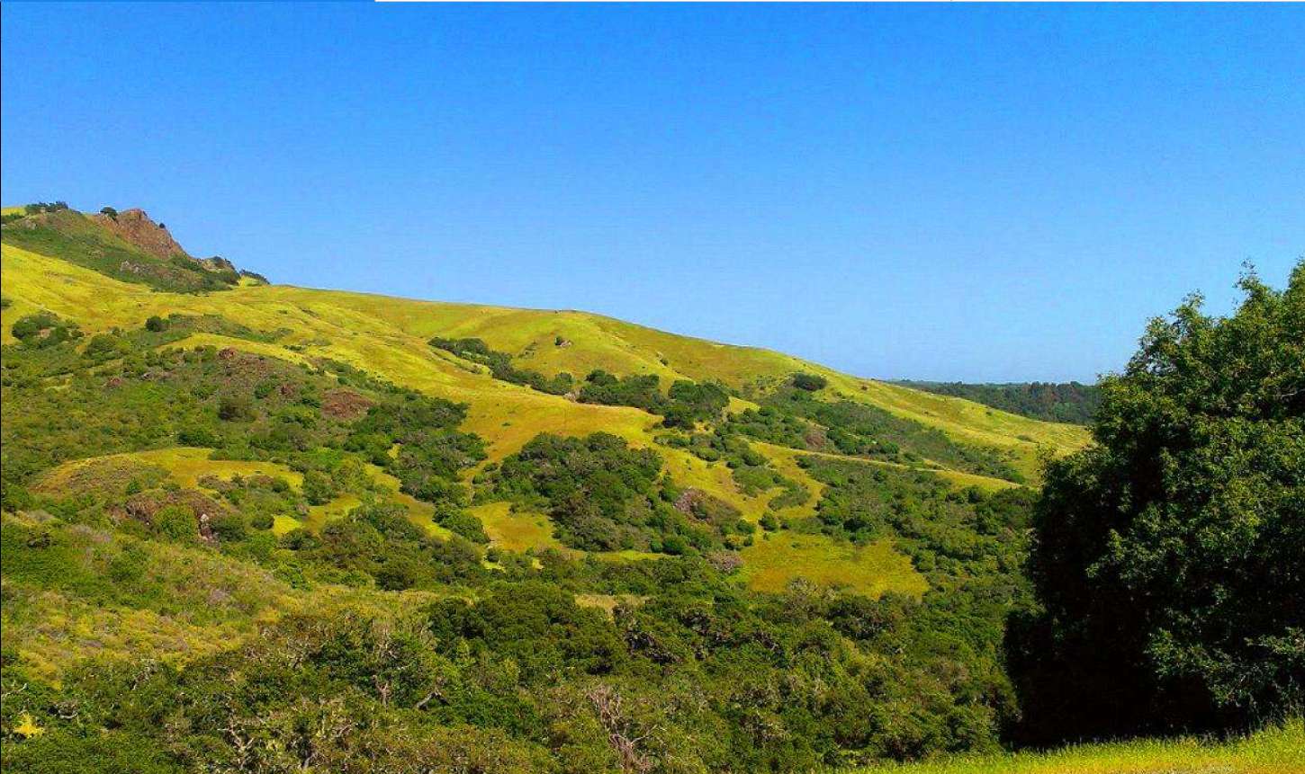 Land in San Luis Obispo County CA