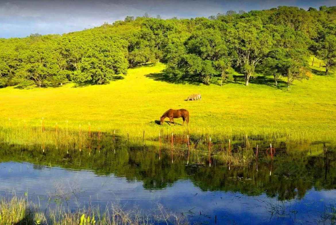 Residential Land - LAKE County, CA