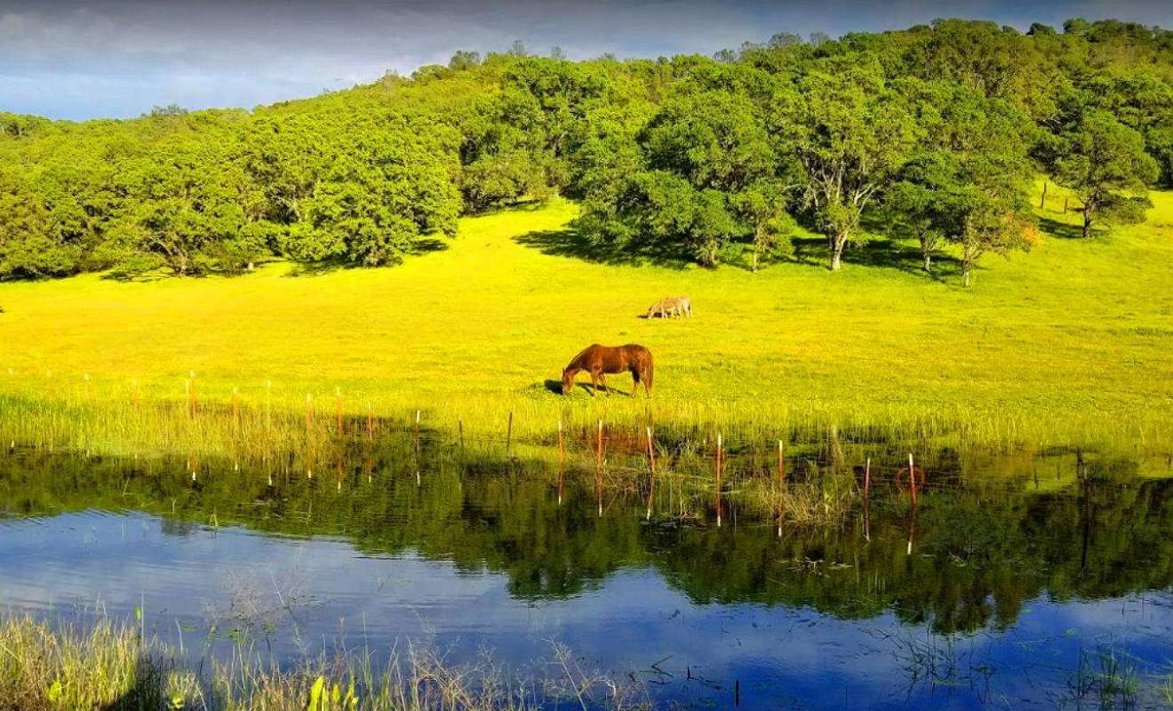 Residential Land - LAKE County, CA